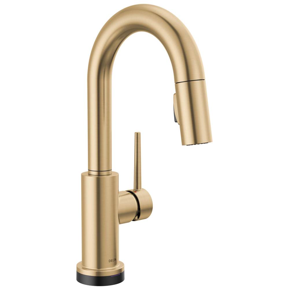 Delta Faucet - Retractable Faucets